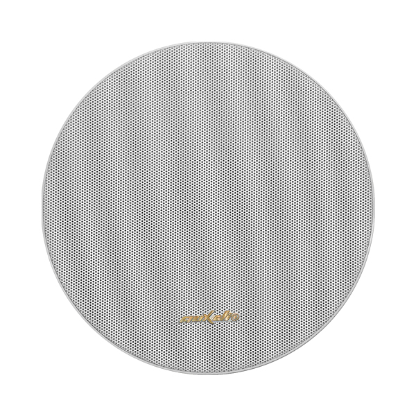DSPPA AUX521