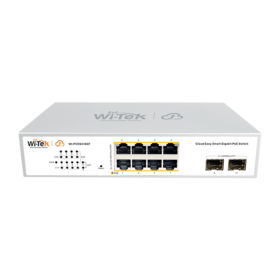 WI-TEK WI-PCES310GF V2