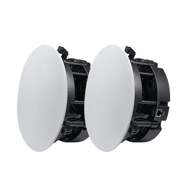 DSPPA DW2235